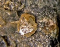 /album/galerie-photos/ophite-zone-4-sphene-1-mod1-jpg1/